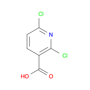 38496-18-3 2,6-Dichloronicotinic acid