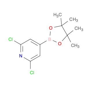 408492-27-3 2,6-DICHLORO-4-(4,4,5,5-TETRAMETHYL-1,3,2-DIOXABOROLAN-2-YL)PYRIDINE