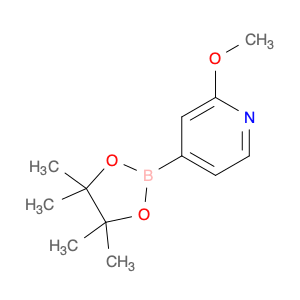 408502-23-8 2-Methoxy-4-(4,4,5,5-tetramethyl-1,3,2-dioxaborolan-2-yl)pyridine