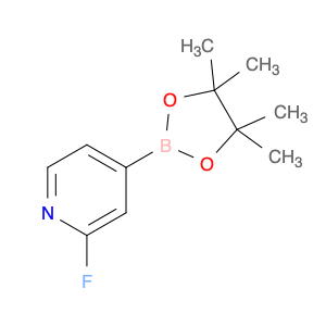 458532-86-0 2-Fluoro-4-(4,4,5,5-tetramethyl-1,3,2-dioxaborolan-2-yl)pyridine