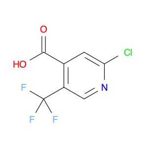 2-Chloro-5-(trifluoromethyl)pyridine-4-carboxylic acid