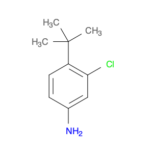 52756-36-2 4-tert-butyl-3-chlorobenzenamine