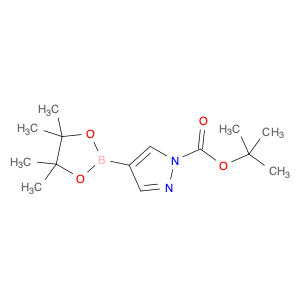 552846-17-0 1-Boc-pyrazole-4-boronic acid pinacol ester