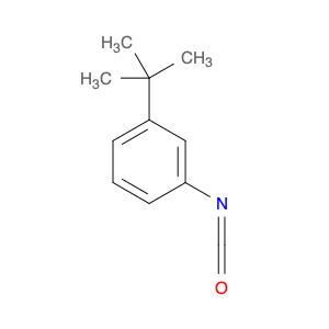 55304-16-0 1-tert-Butyl-3-isocyanatobenzene