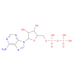 58-64-0 Adenosine 5'-diphosphate