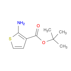 2-AMINOTHIOPHENE-3-CARBOXYLIC ACID T-BUTYL ESTER