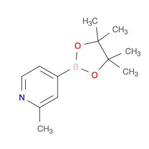 660867-80-1 2-Methyl-4-(4,4,5,5-tetramethyl-1,3,2-dioxaborolan-2-yl)pyridine