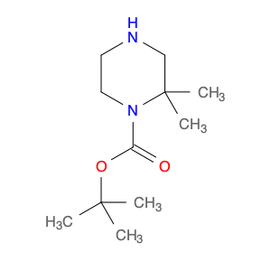 674792-07-5 tert-Butyl 2,2-dimethylpiperazine-1-carboxylate