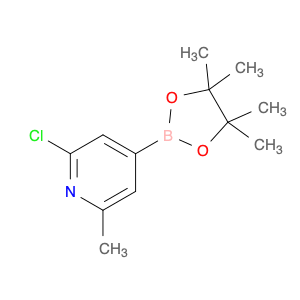 697739-22-3 2-Chloro-6-methyl-4-(4,4,5,5-tetramethyl-1,3,2-dioxaborolan-2-yl)pyridine