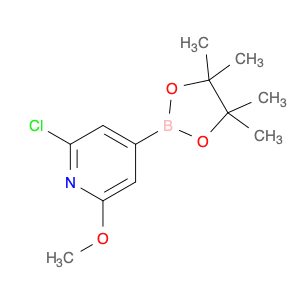 697739-24-5 2-CHLORO-6-METHOXYPYRIDINE-4-BORONIC ACID PINACOL ESTER