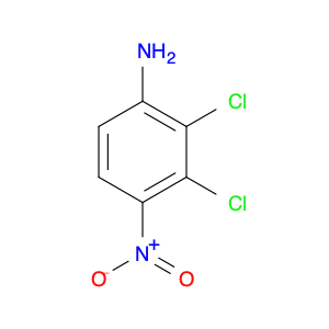 BENZENAMINE, 2,3-DICHLORO-4-NITRO-