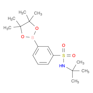 706820-95-3 3-(tert-butylaMino)sulfonyl-phenylboronic acid pinacol ester