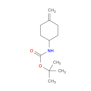 725255-70-9 Carbamic acid, (4-methylenecyclohexyl)-, 1,1-dimethylethyl ester (9CI)