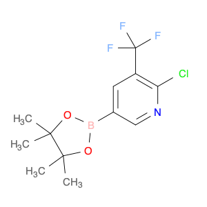 741709-67-1 2-chloro-5-(4,4,5,5-tetramethyl-1,3,2-dioxaborolan-2-yl)-3-(trifluoromethyl)pyridine