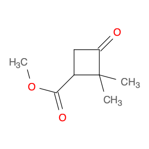 Cyclobutanecarboxylic acid, 2,2-dimethyl-3-oxo-, methyl ester