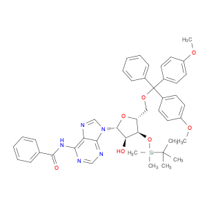 81256-88-4 N-Benzoyl-5'-O-[bis(4-methoxyphenyl)phenylmethyl]-3'-O-[(1,1-dimethylethyl)dimethylsilyl]adenosine