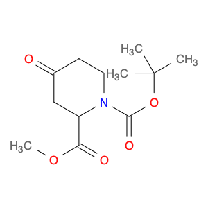 81357-18-8 1,2-Piperidinedicarboxylicacid, 4-oxo-, 1-(1,1-dimethylethyl) 2-methyl ester