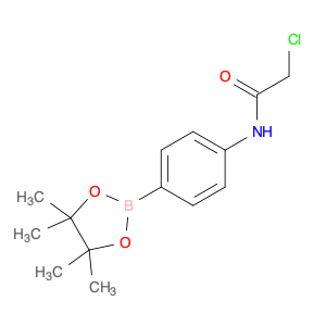 825630-79-3 2-chloro-N-(4-(4,4,5,5-tetraMethyl-1,3,2-dioxaborolan-2-yl)phenyl)acetaMide