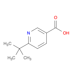 832715-99-8 6-tert-butylnicotinic acid