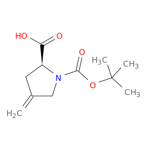 84348-38-9 N-tert-Butoxycarbonyl-4-methylene-L-proline