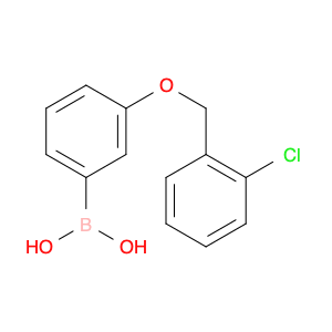 845551-45-3 (3-((2-Chlorobenzyl)oxy)phenyl)boronic acid