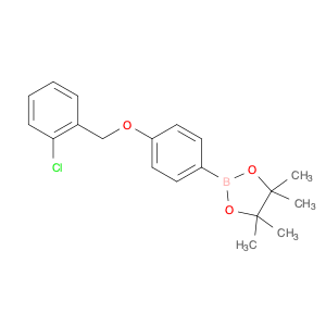 854371-84-9 1,3,2-Dioxaborolane, 2-[4-[(2-chlorophenyl)methoxy]phenyl]-4,4,5,5-tetramethyl-