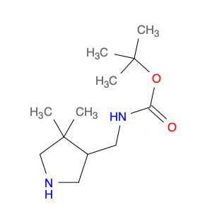 869292-47-7 tert-butylN-[(4,4-dimethylpyrrolidin-3-yl)methyl]carbamate