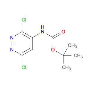 887310-61-4 Carbamic acid, (3,6-dichloro-4-pyridazinyl)-, 1,1-dimethylethyl ester