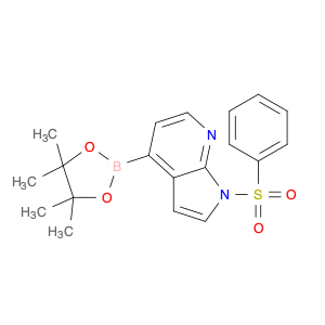 942919-24-6 1-(Phenylsulfonyl)-4-(4,4,5,5-tetramethyl-1,3,2-dioxaborolan-2-yl)-1H-pryrolo[2,3-b]pyridine