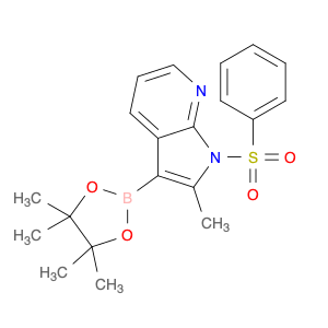 943324-08-1 2-Methyl-1-(phenylsulfonyl)-3-(4,4,5,5-tetramethyl-1,3,2-dioxaborolan-2-yl)-1H-pyrrolo[2,3-b]pyridine