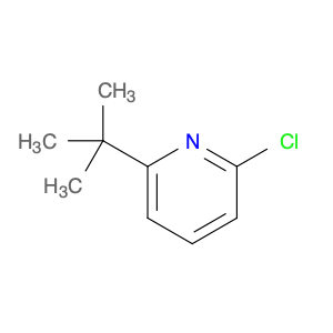 97691-23-1 2-chloro-6-(1,1-dimethylethyl)-pyridine