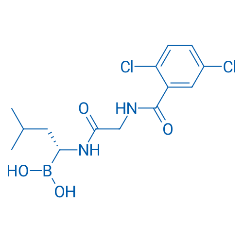 1072833-77-2 (R)-1-(2-(2,5-dichlorobenzamido)acetamido)-3-methylbutylboronic acid