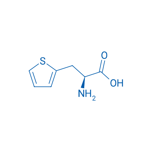 22951-96-8 L-2-THIENYLALANINE