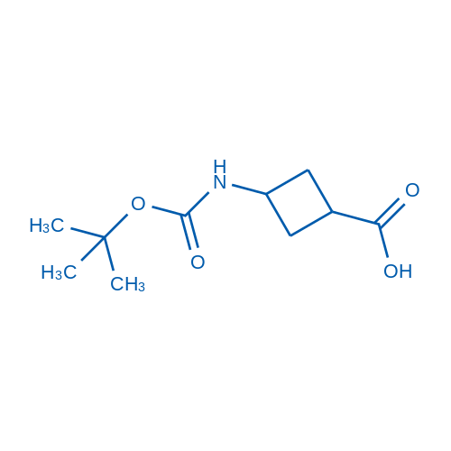 946152-72-3 3-(tert-Butoxycarbonylamino)cyclobutanecarboxylic acid