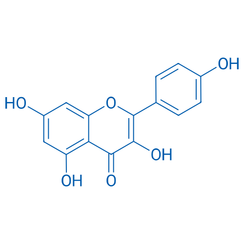 520-18-3 Kaempferol