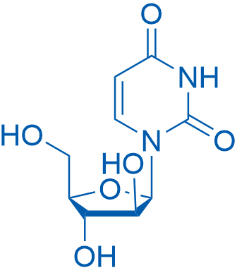 3083-77-0 1-((2R,3S,4S,5R)-3,4-Dihydroxy-5-(hydroxymethyl)tetrahydrofuran-2-yl)pyrimidine-2,4(1H,3H)-dione