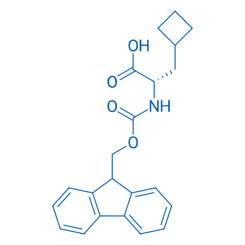 478183-62-9 (S)-2-((((9H-Fluoren-9-yl)methoxy)carbonyl)amino)-3-cyclobutylpropanoic acid