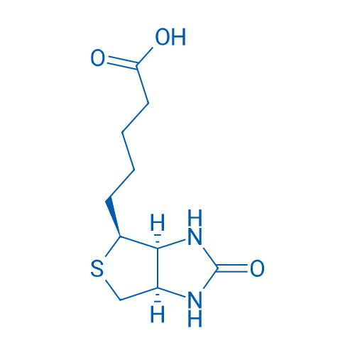 58-85-5 5-((3aS,4S,6aR)-2-Oxohexahydro-1H-thieno[3,4-d]imidazol-4-yl)pentanoic acid