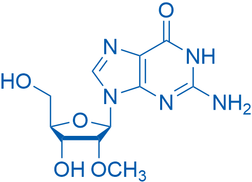 2140-71-8 2-Amino-9-((2R,3R,4R,5R)-4-hydroxy-5-(hydroxymethyl)-3-methoxytetrahydrofuran-2-yl)-1H-purin-6(9H)-one