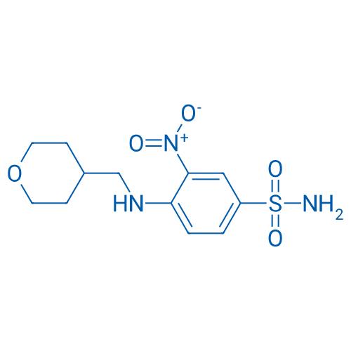 1228779-96-1 3-Nitro-4-(((tetrahydro-2H-pyran-4-yl)methyl)amino)benzenesulfonamide