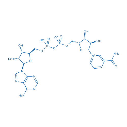 53-84-9 1-((2R,3R,4S,5R)-5-((((((((2R,3S,4R,5R)-5-(6-Amino-9H-purin-9-yl)-3,4-dihydroxytetrahydrofuran-2-yl)methoxy)(hydroxy)phosphoryl)oxy)oxidophosphoryl)oxy)methyl)-3,4-dihydroxytetrahydrofuran-2-yl)-3-carbamoylpyridin-1-ium