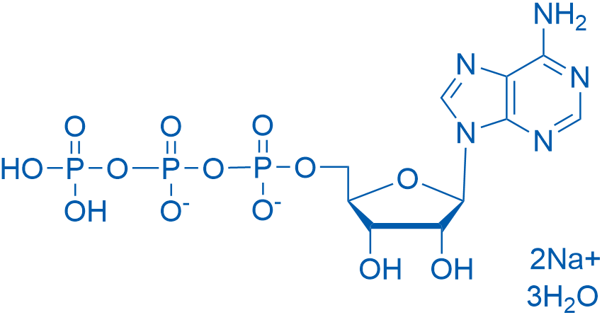 51963-61-2 (((2R,3S,4R,5R)-5-(6-Amino-9H-purin-9-yl)-3,4-dihydroxytetrahydrofuran-2-yl)methyl)triphosphoric acid, disodium salt trihydrate